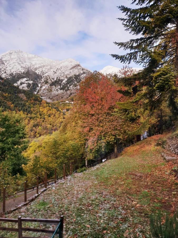 Villa Pura Vida Saint-Martin-Vésubie Kültér fotó
